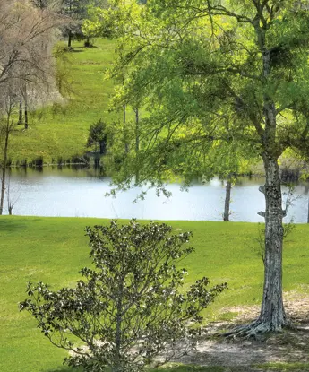 A beautiful view at the RV Park at Longhorn Meadows